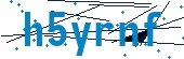 recaptcha